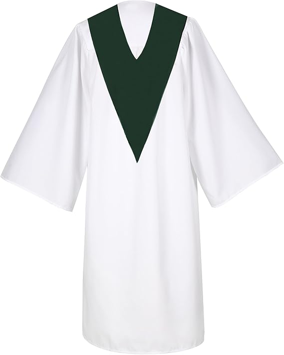 Graduation gown with stole back view