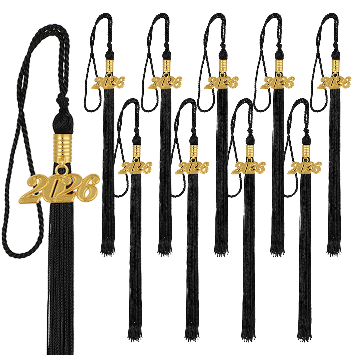 Newrara Graduation 10PCS tassel with gold 2026 year charm
