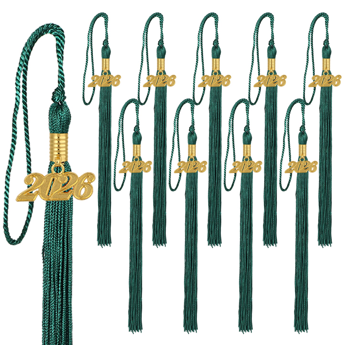 Newrara Graduation 10PCS tassel with gold 2026 year charm