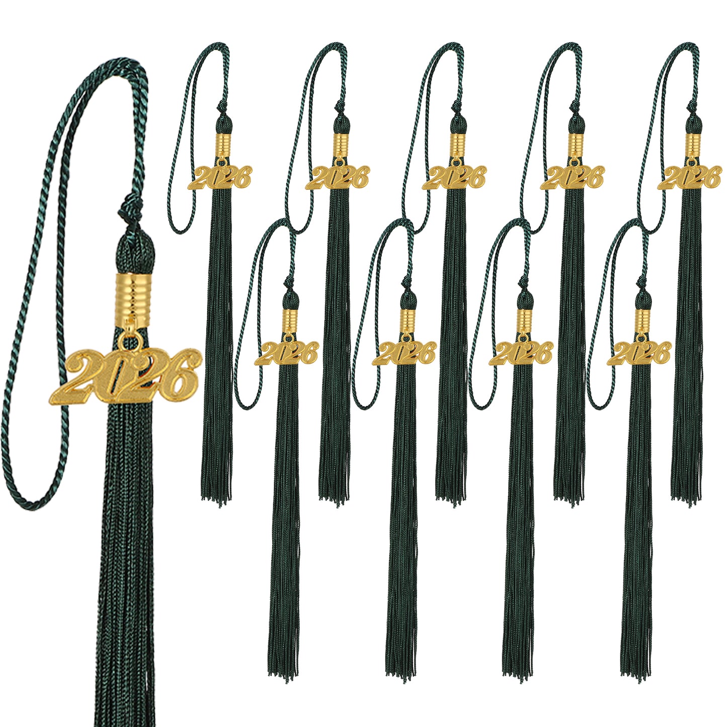 Newrara Graduation 10PCS tassel with gold 2026 year charm