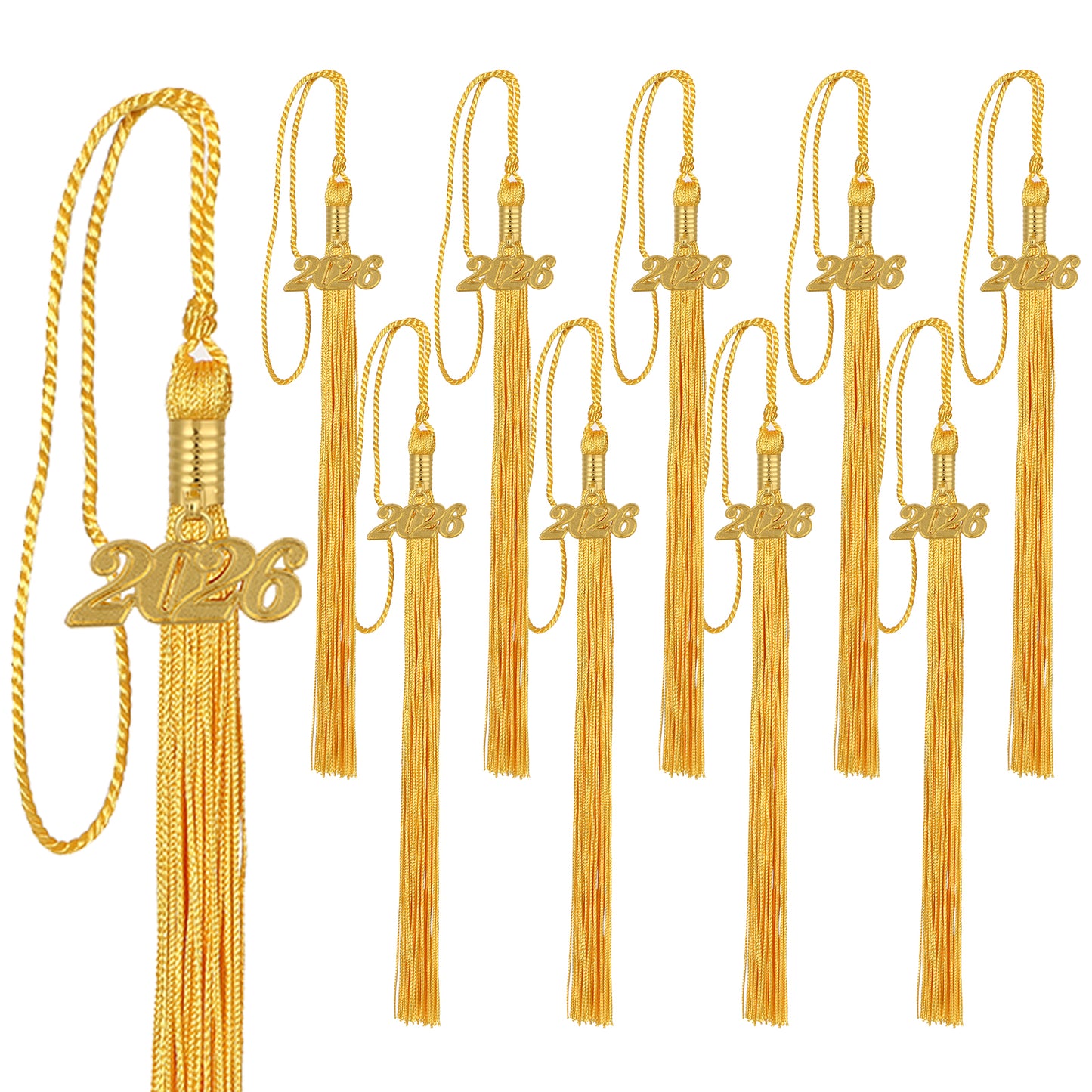 Newrara Graduation 10PCS tassel with gold 2026 year charm