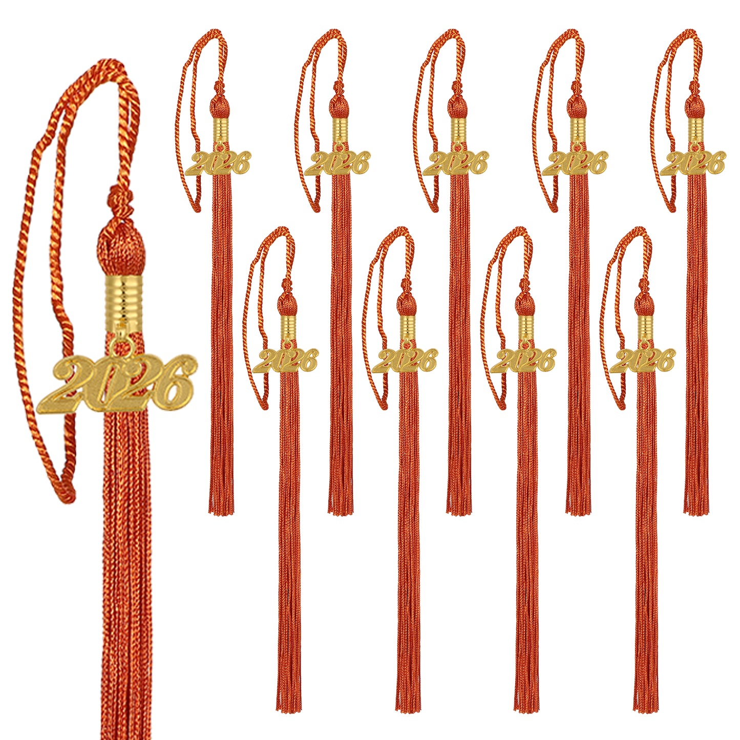 Newrara Graduation 10PCS tassel with gold 2026 year charm