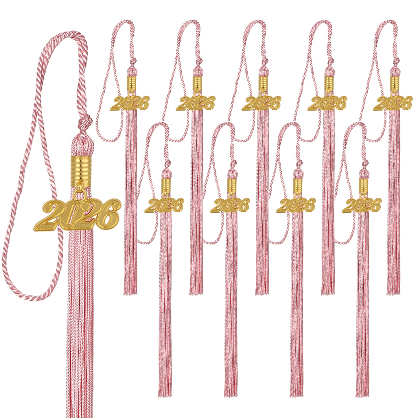 Newrara Graduation 10PCS tassel with gold 2026 year charm