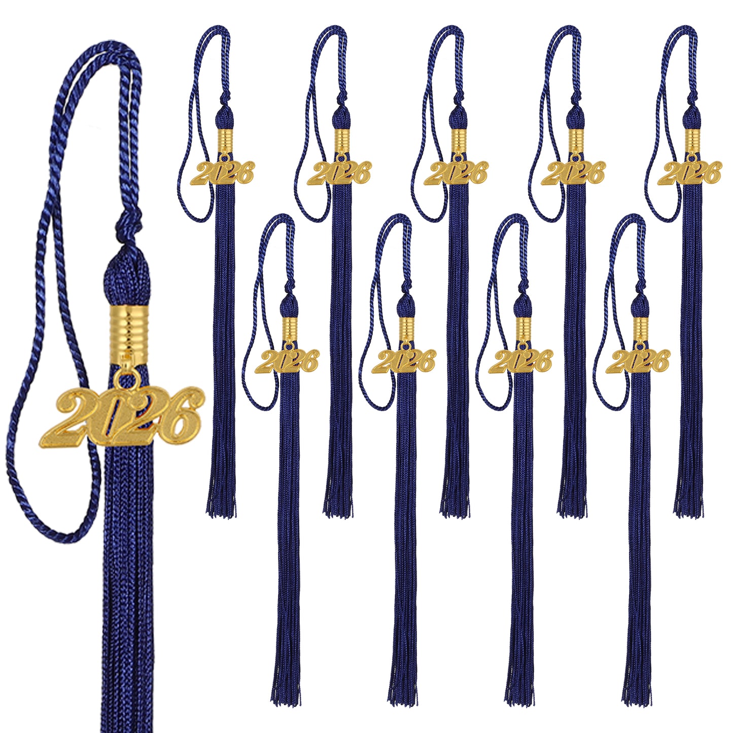 Newrara Graduation 10PCS tassel with gold 2026 year charm